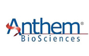 anthem